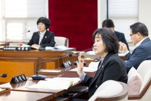 ���ñ�������ȸ ��1��~3��ȸ��